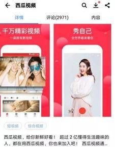娱乐吃瓜今天直播视频大全,娱乐吃瓜盛宴，精彩瞬间大盘点